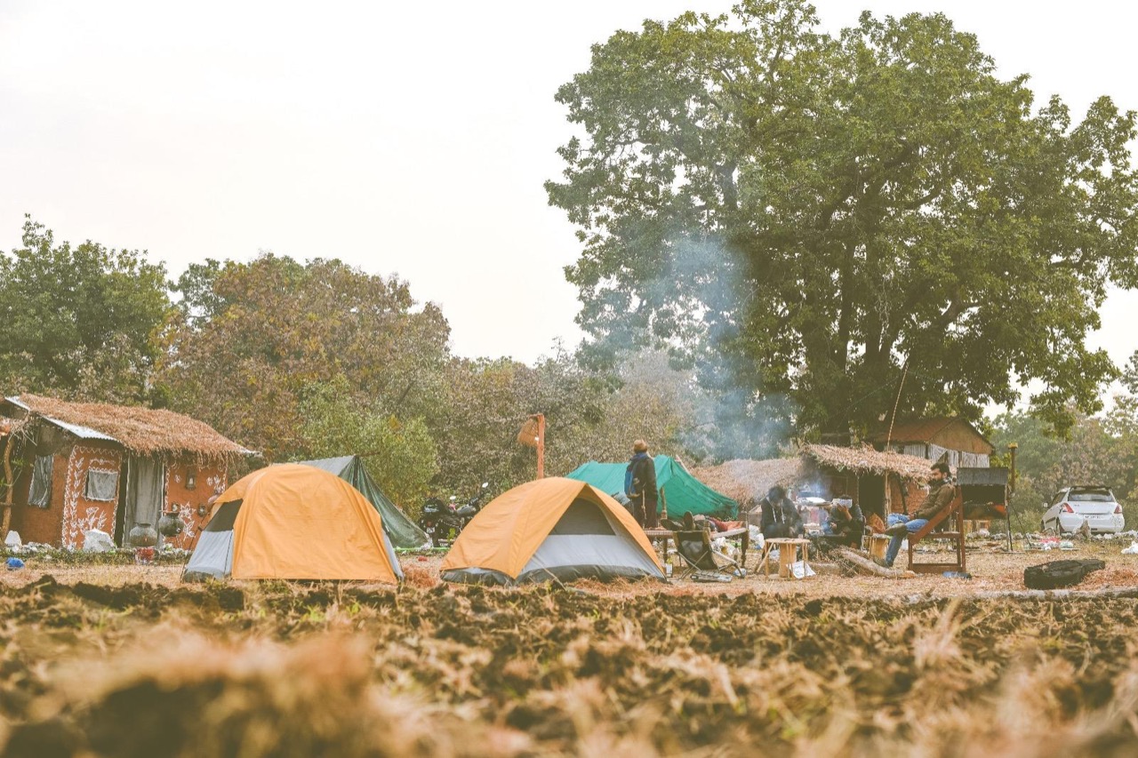 Furventures - Pet Adventures & Events - Professional service photo 4